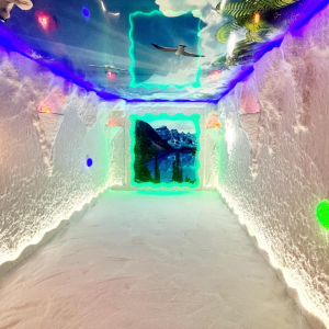 WhatsApp Image 2025 01 31 At 21.15.20